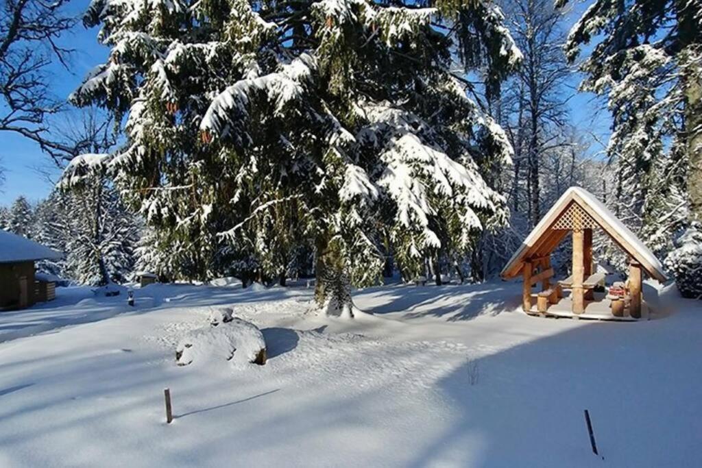 Le Petit Loup, Neuf Avec Jardin Apartment Gerbépal